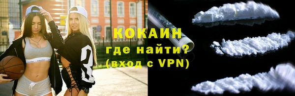 ПСИЛОЦИБИНОВЫЕ ГРИБЫ Абаза