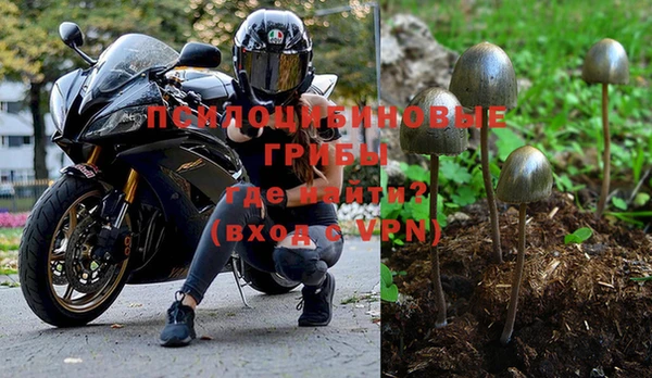 ПСИЛОЦИБИНОВЫЕ ГРИБЫ Абаза
