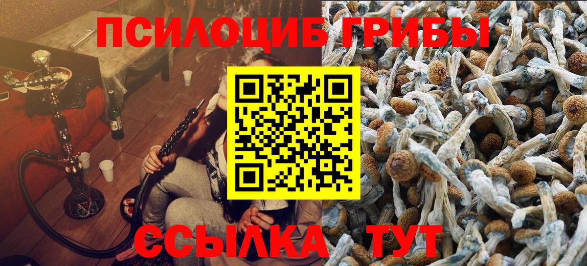 Галлюциногенные грибы Magic Shrooms Татарск