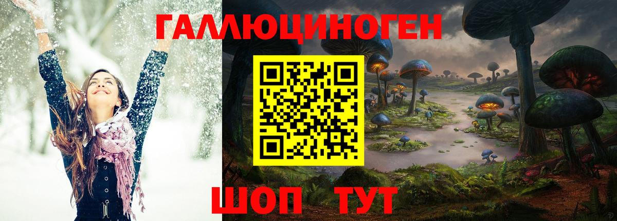 Псилоцибиновые грибы прущие грибы  Галлюциногенные грибы Cubensis  Вход с VPN  Татарск 
